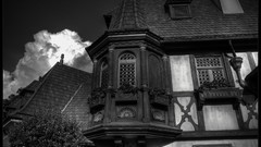 Black and white houses