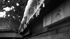 Black and white ice drop
