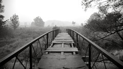 Black and white Landscapes