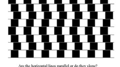 Black and white lines illusions optical illusions