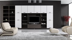 Black and white living room interior design
