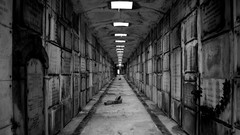 Black and white monochrome decay graveyards