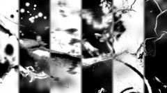 Black and white multiscreen