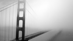 Black and white nature