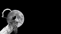 Black and white night