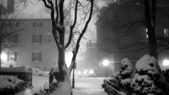 Black and white night