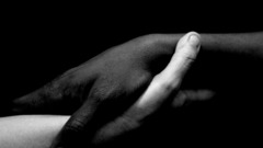 Black and white palm