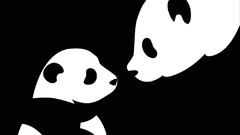 Black and white panda