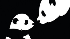 Black and white panda