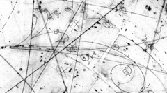 Black and white particles