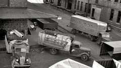 Black and white past old USA Amin Peyrovi