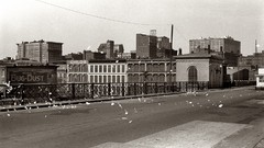 Black and white past old USA Amin Peyrovi