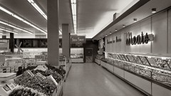 Black and white past old USA Amin Peyrovi