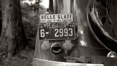 Black and white past old USA Amin Peyrovi