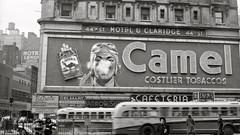 Black and white past old USA Amin Peyrovi