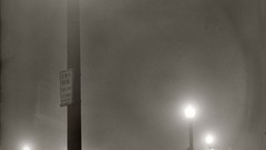 Black and white past old USA Amin Peyrovi