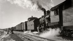 Black and white past old USA Amin Peyrovi