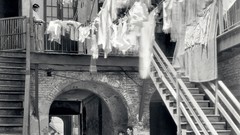 Black and white past old USA Amin Peyrovi