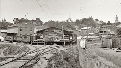 Black and white past old USA Amin Peyrovi