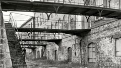 Black and white past old USA Amin Peyrovi