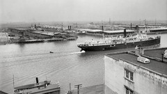 Black and white past old USA Amin Peyrovi