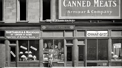 Black and white past old USA Amin Peyrovi