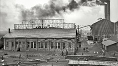 Black and white past old USA Amin Peyrovi