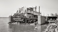 Black and white past old USA Amin Peyrovi