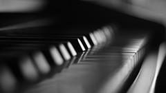 Black and white piano contrast bokeh