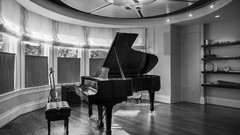 Black and white piano instruments