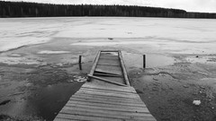 Black and white piers