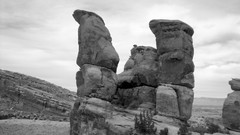 Black and white Plants rocks Devils Devils Kitchen