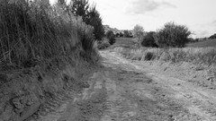 Black and white Poland cities Polish lublin