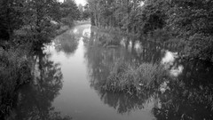 Black and white Poland cities Polish lublin