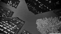 Black and white San Francisco cityscapes