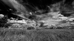 Black and white skies