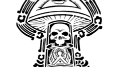 Black and white skulls