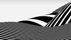 Black and white stripes