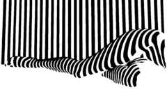 Black and white stripes