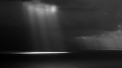 Black and white sunlight