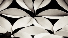 Black and white thought