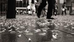 Black and white Tokyo floor urban grayscale