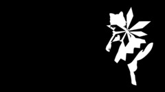 Black and white touhou