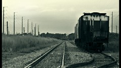 Black and white trains