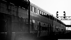 Black and white trains
