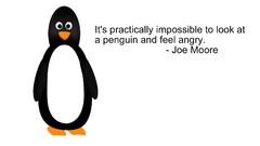 Black and white white Penguins minimalistic Quotes grayscale 