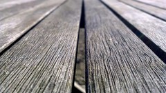 Black and white Wood