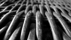 Black and white Wood