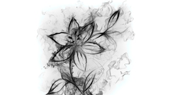 Black anon delivered