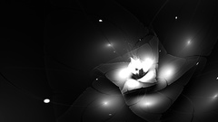 Black background bloom monochrome